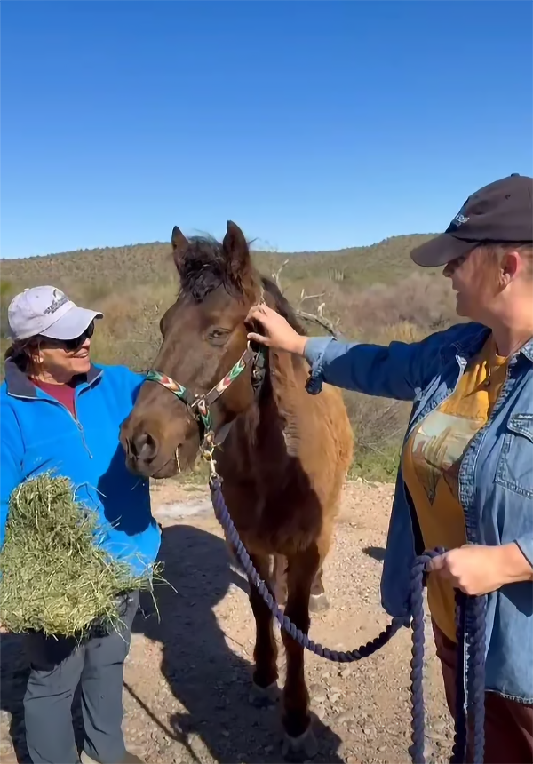 Two volunteers with a horse rescued after being abandoned