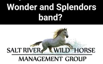 Have you been wondering how Wonder is doing?