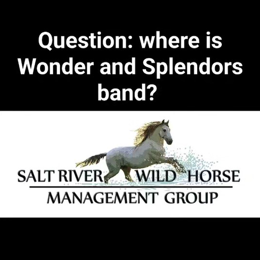 Have you been wondering how Wonder is doing?