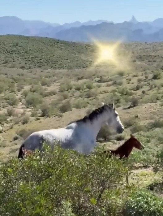 Watch in full, and if you care, please share!