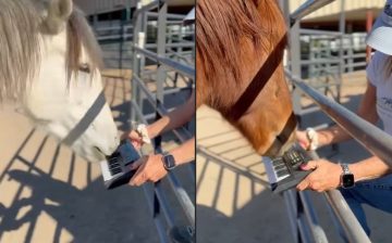 “I’m with the band” has a whole new meaning