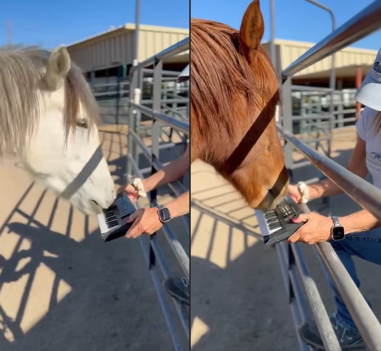 mori and peanut playing instruments