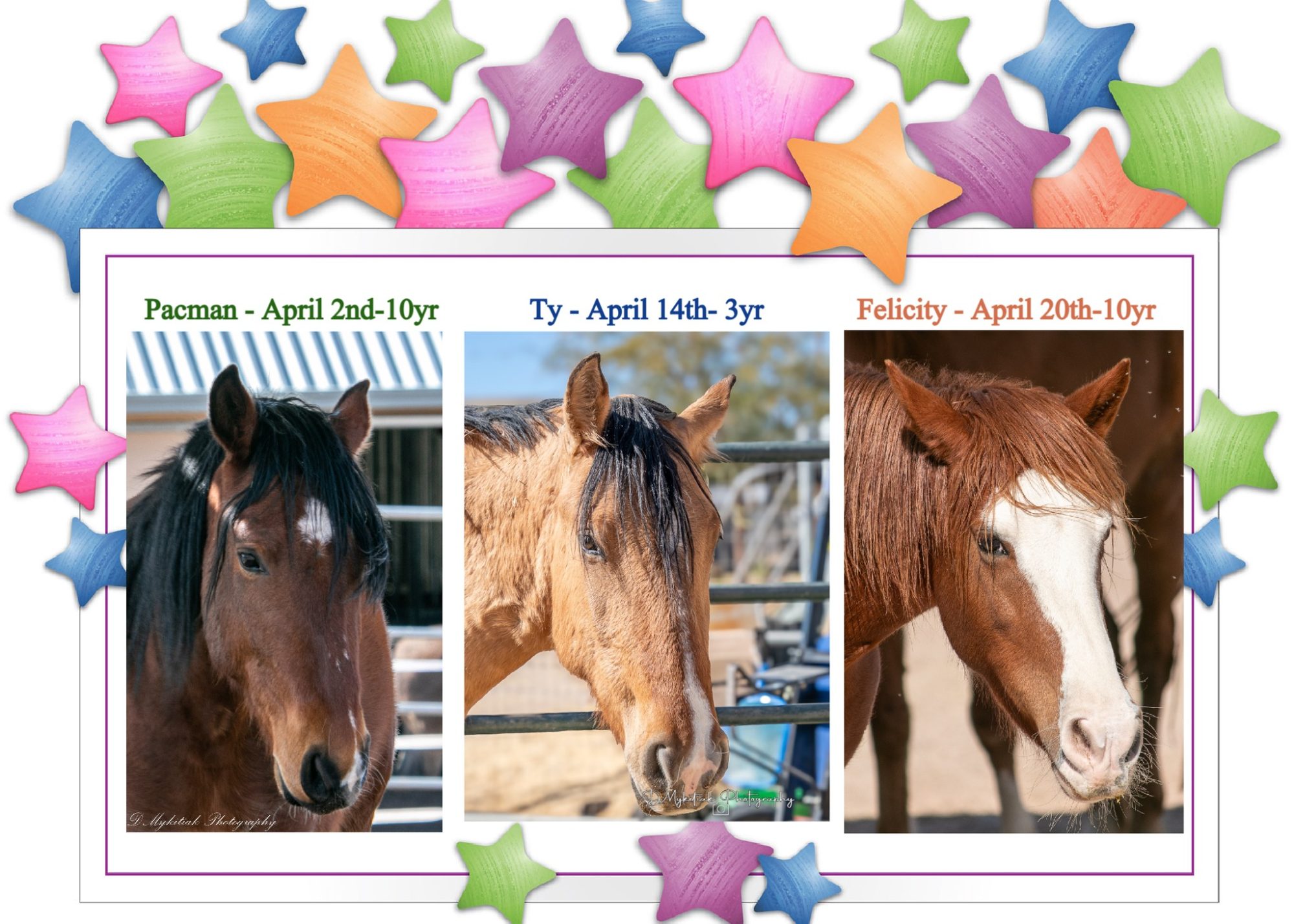 Today we’re celebrating our April rescue birthdays! 🎉