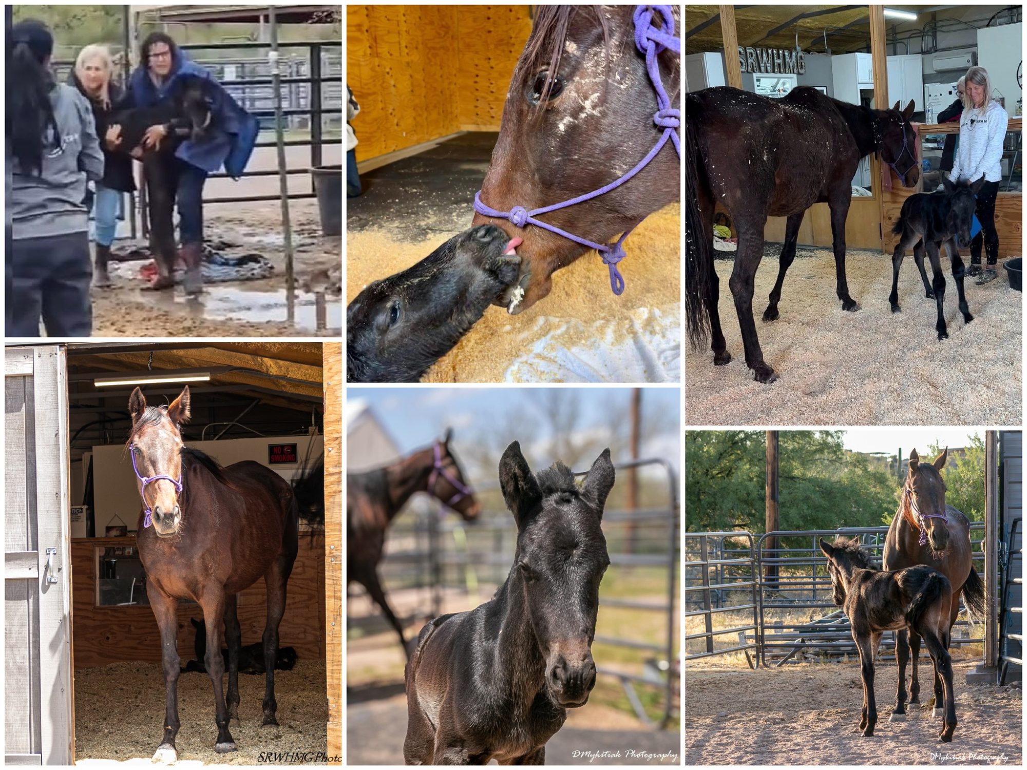 A Happy Grace Update 💛