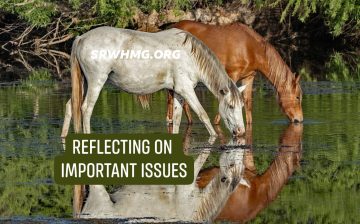 🧬 What is genetic diversity and why is it needed in a wild horse herd?