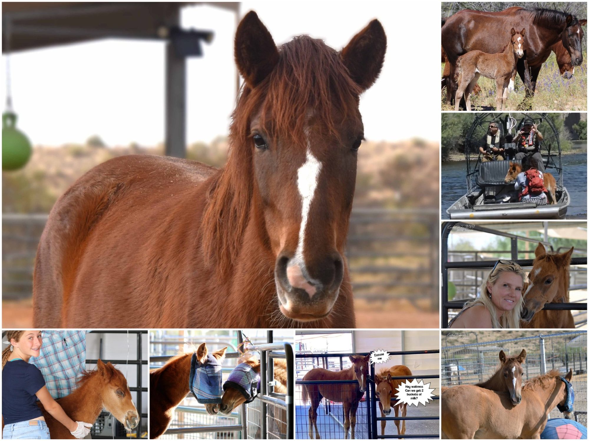 HAPPY🎂7th🎂BIRTHDAY ROSY!