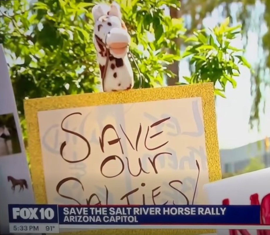 Arizonans and legislators stand up for the “Salties”!