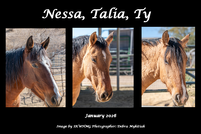 Sponsor Nessa, Talia and Ty