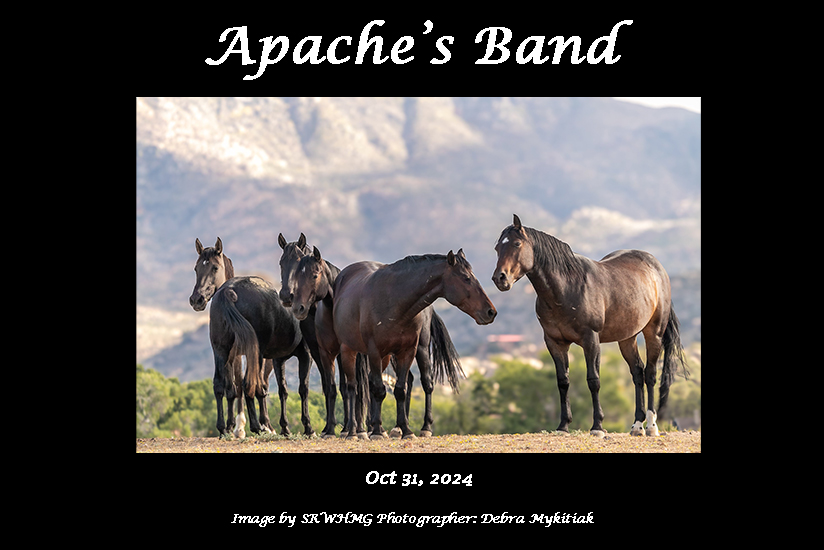 Sponsor Apache's Band