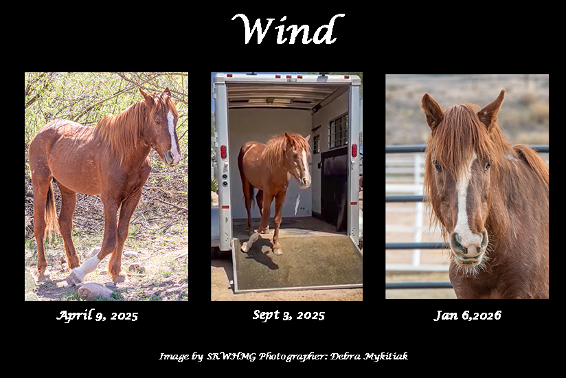 Sponsor Wind