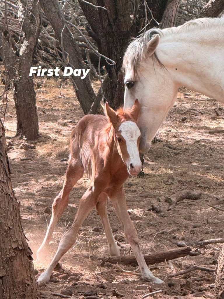 cody first day