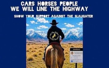 Save the Brumbies: STAND with all Australian Horse Advocates!