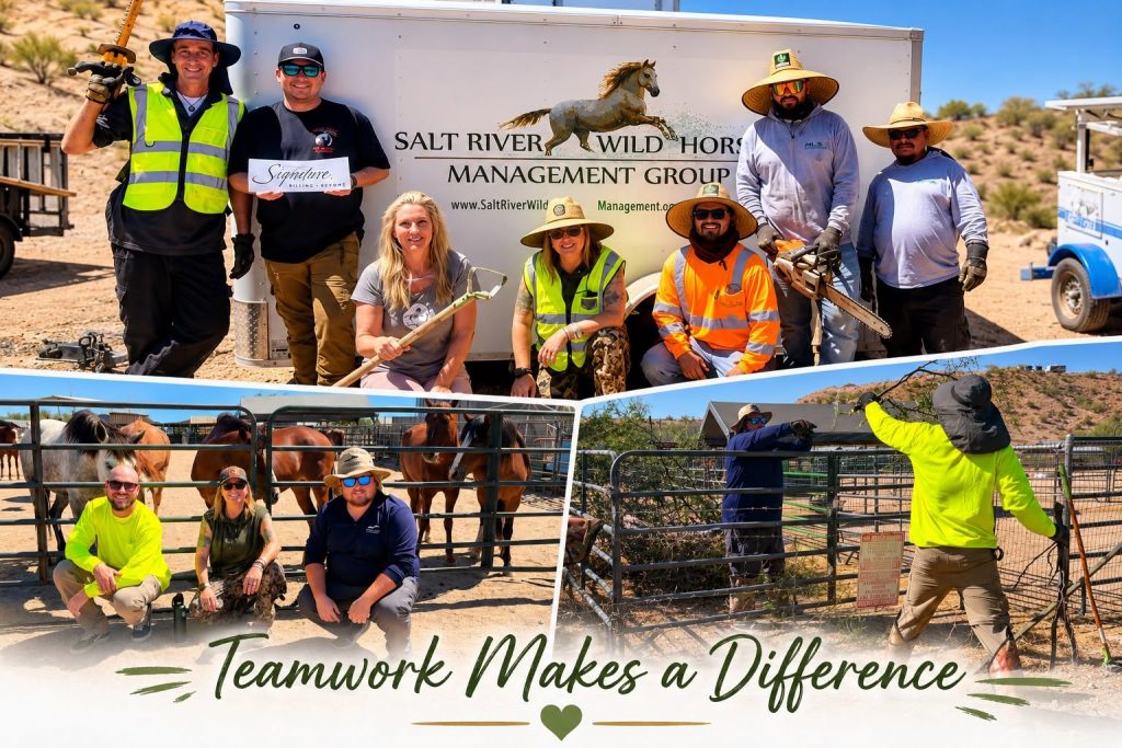 teamwork makes a difference