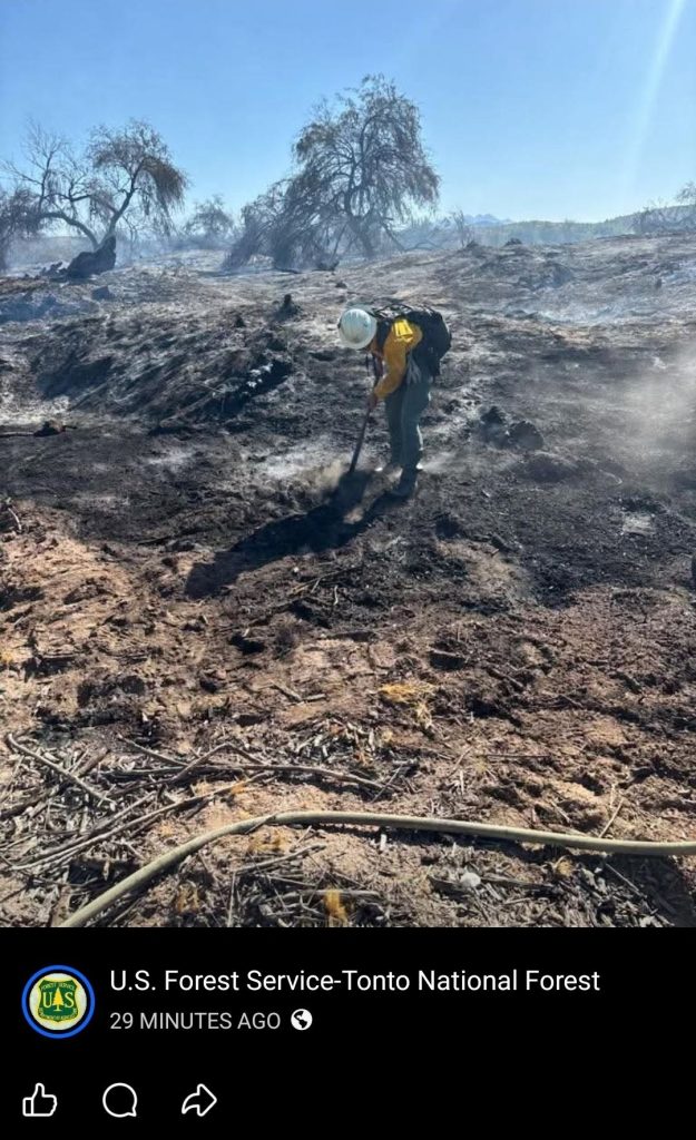 Forest Service putting out fires