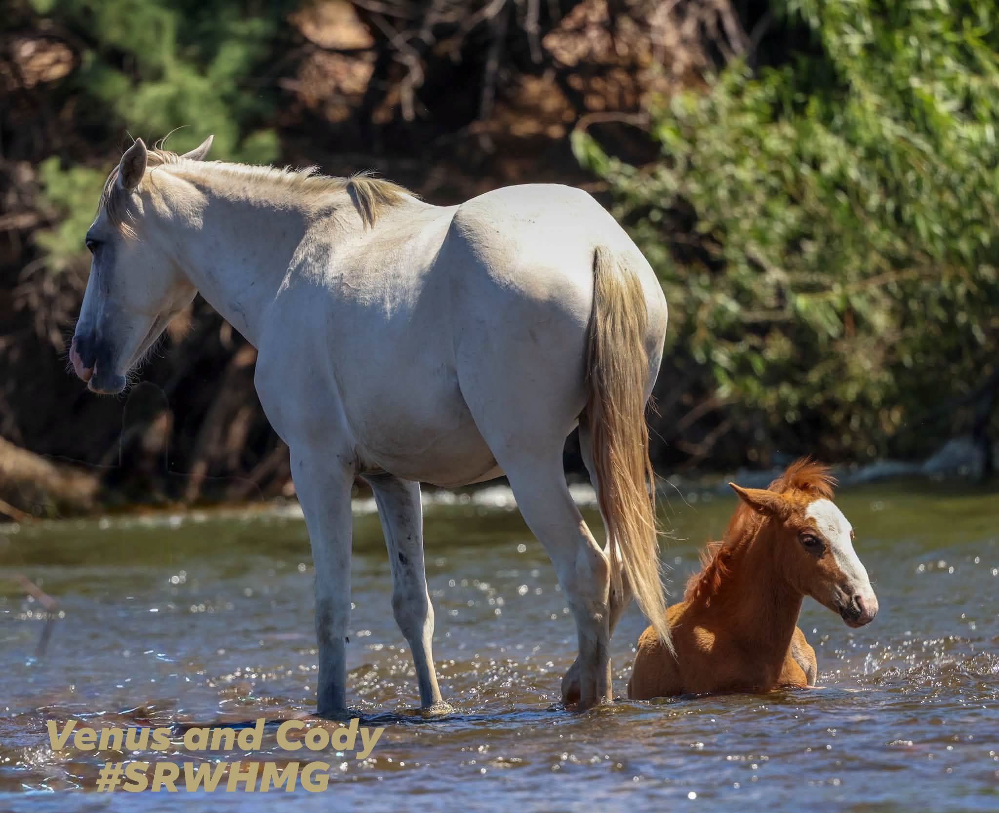 🐴 What an exhausting day 🥱