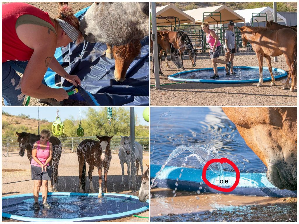 water day