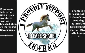 🐴MAKE YOUR VOICE HERD! 🗳️