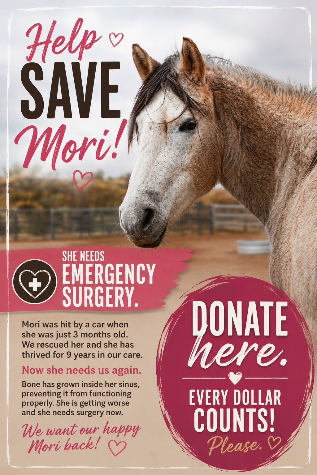 🚨 URGENT: OUR MORI NEEDS SURGERY TO SAVE HER LIFE. 💔🐴