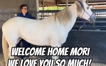 Mori is home! ❤️🏡