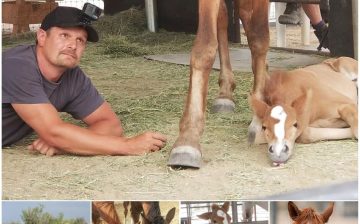 A Story of Love, Loss & Hope… Happy 8th Birthday, Nakota! 🎉🐴