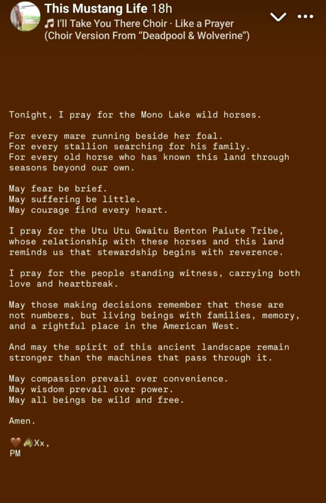 Let's join in this prayer for wild horse families everywhere tonite and also for the people who love them.