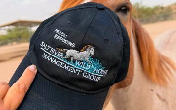 🐴💁‍♀️ Iggy would like a word…