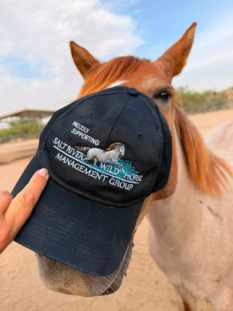 Volunteer holding up a SRWHMG cap in front of Iggy, a rescue horse
