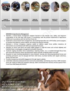 Mid-year report page 10