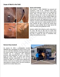 Mid-year report page 7