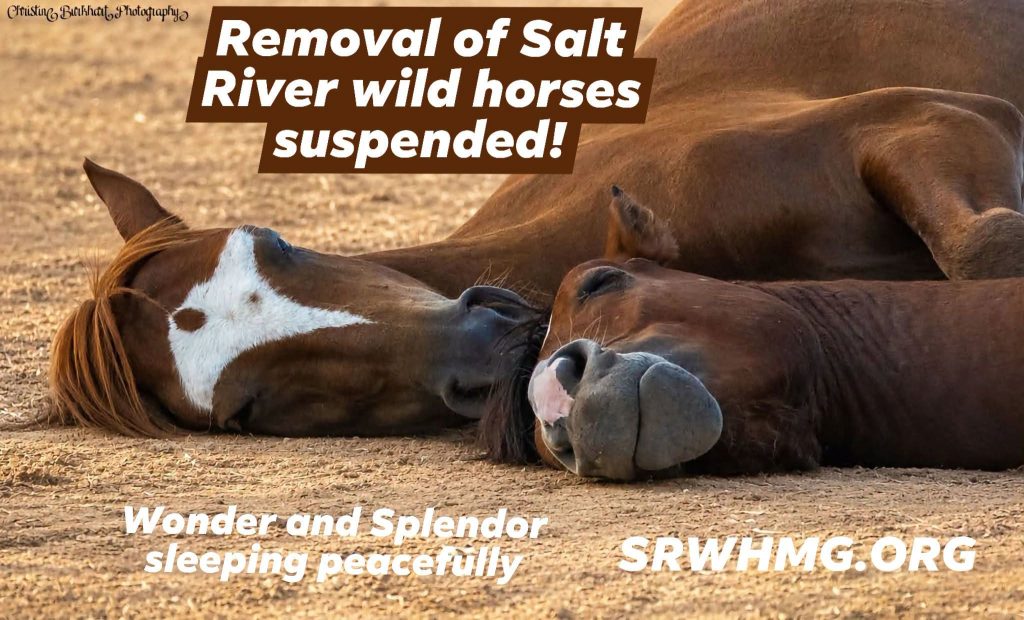 Revised management contract, signed today between AZDA and SRWHMG suspends planned removals and increases target population size.