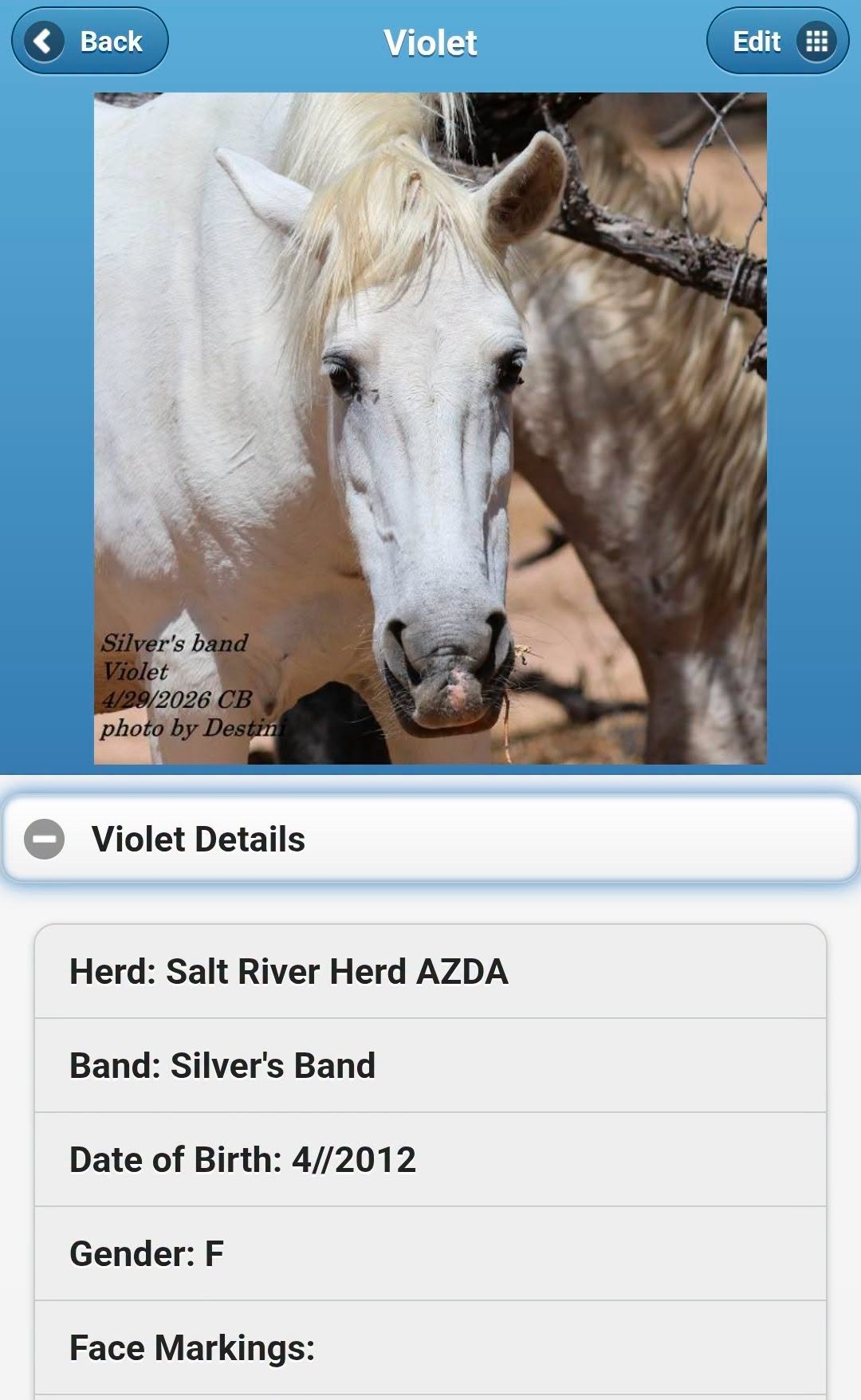 Why We Are Searching So Hard for One Deceased Wild Horse.