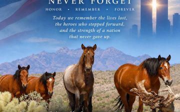 We will never forget…