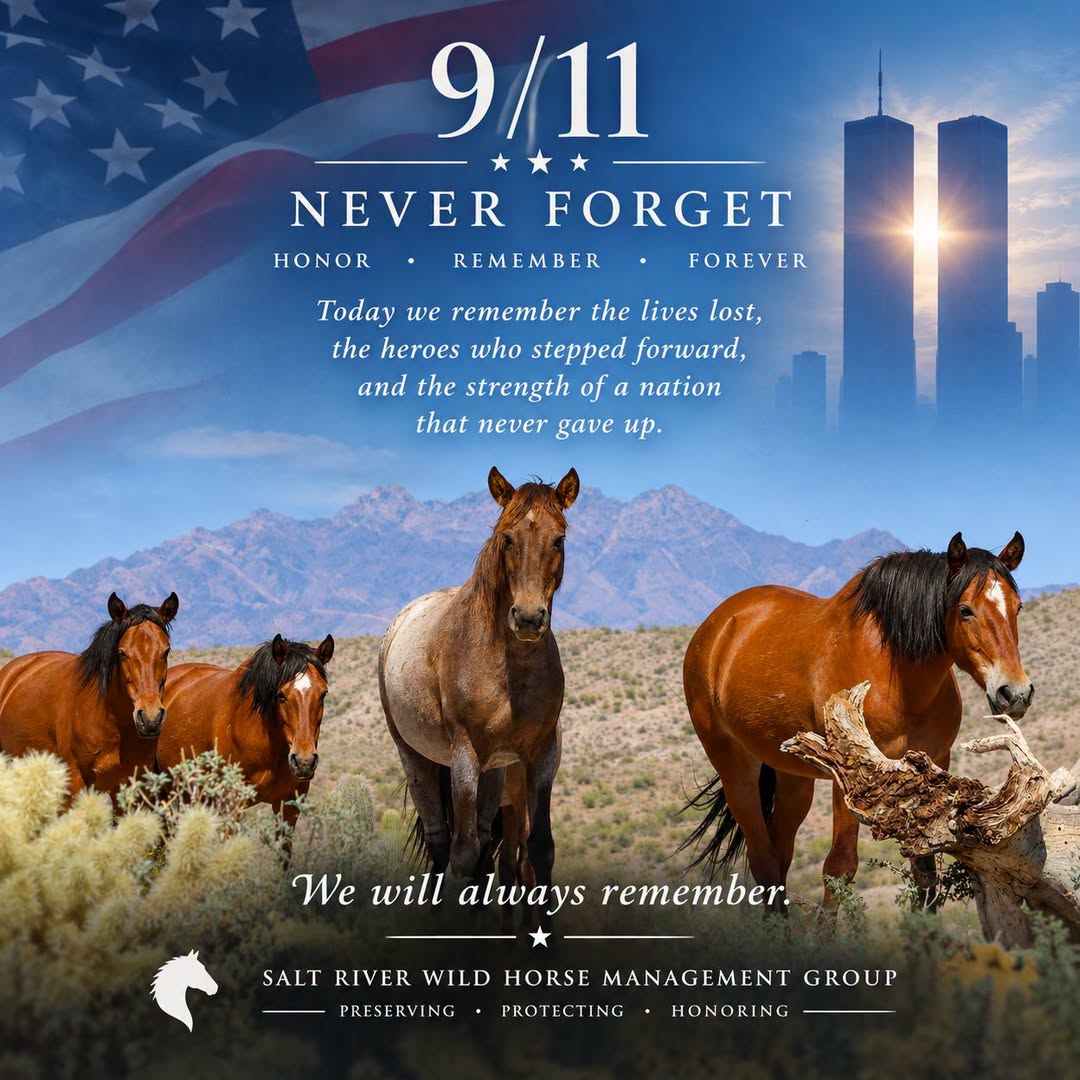 We will never forget…