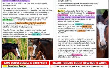 PLAGIARISM — when your work becomes someone else’s story.