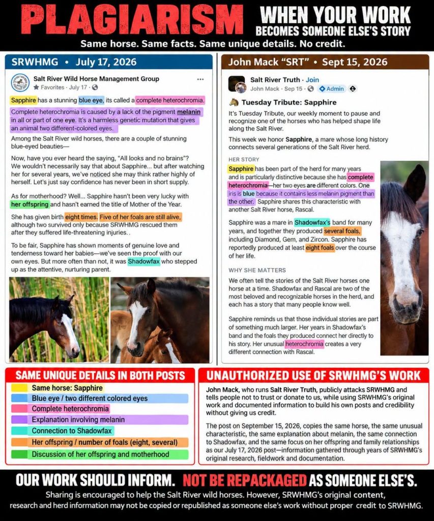PLAGIARISM — when your work becomes someone else's story.