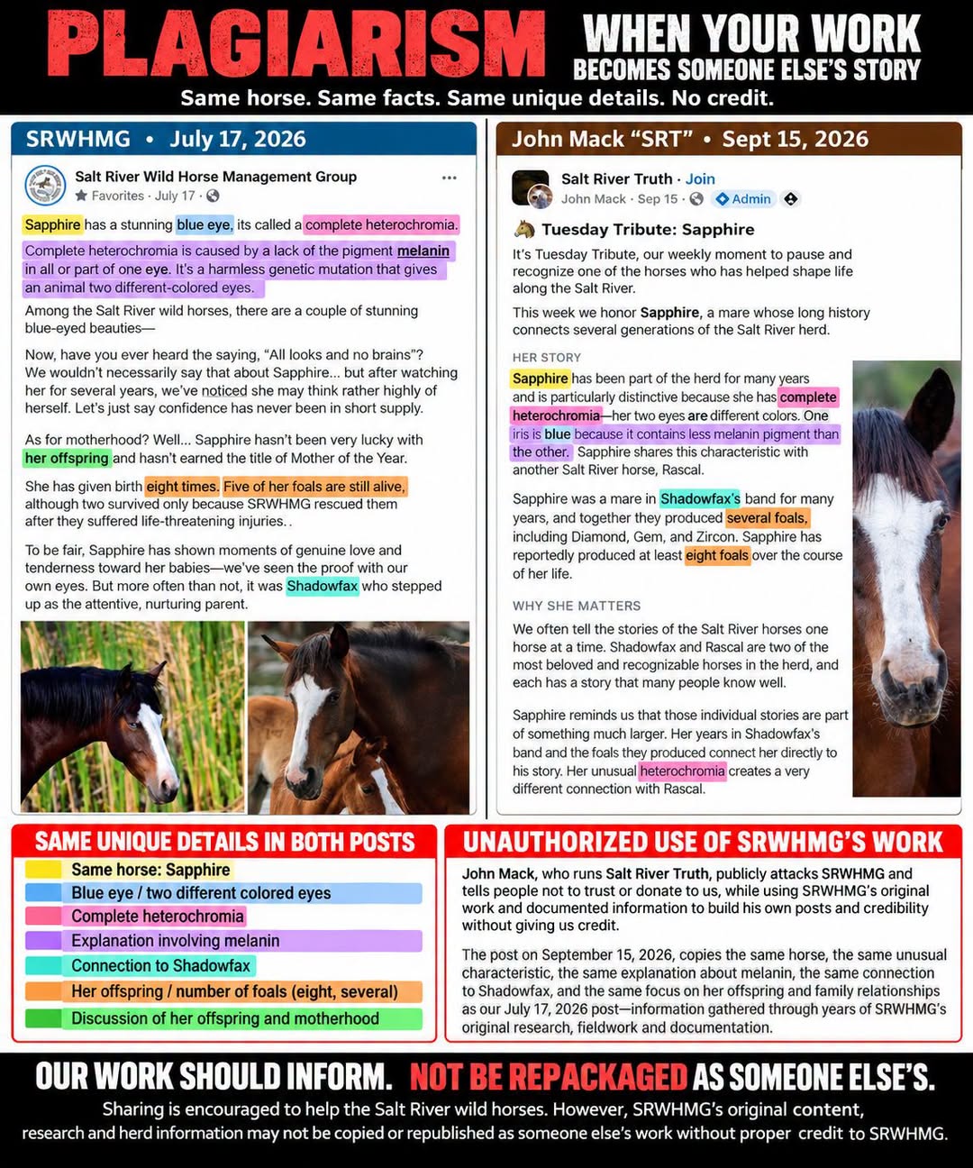 PLAGIARISM — when your work becomes someone else’s story.