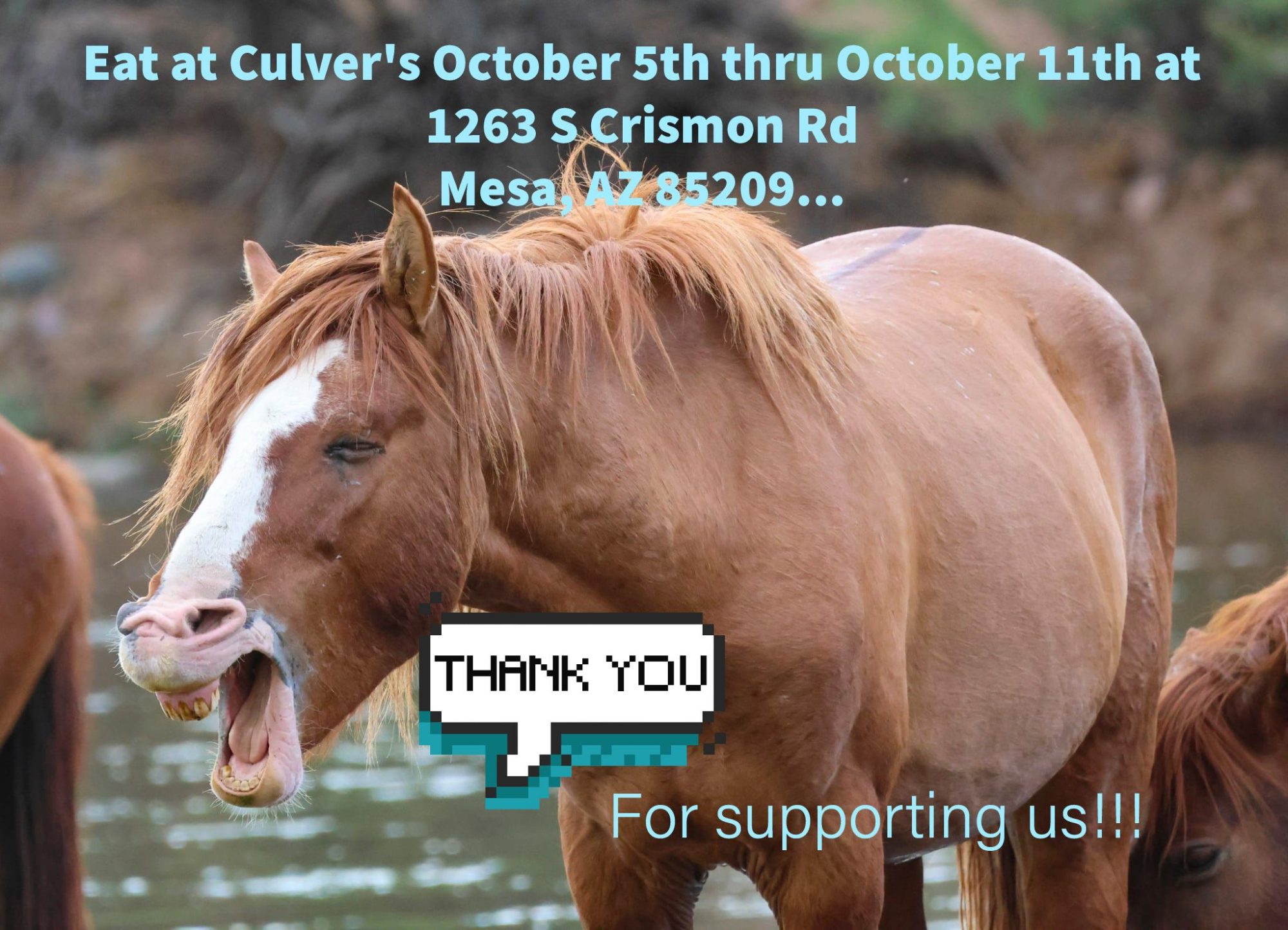 Did you know every month Culver’s 🍨supports our mission by having a fundraiser?