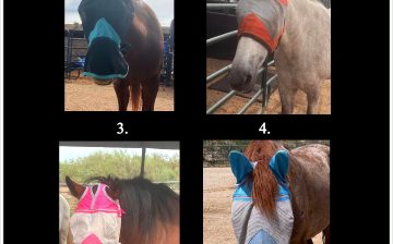 No, it’s not 👻 Halloween 🎃 yet, so why are the rescues wearing masks?