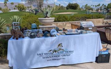 Stop by our SRWHMG merchandise table!!!