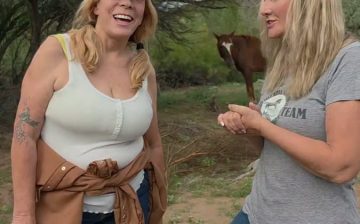 HOW ARE THESE WILD HORSES STILL HERE—WHEN THOUSANDS OF OTHER WILD HORSES WERE REMOVED THIS YEAR?